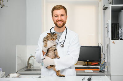 The Fit Life Vet Difference: Dedication and Experience that Treats Your Pet Like Family